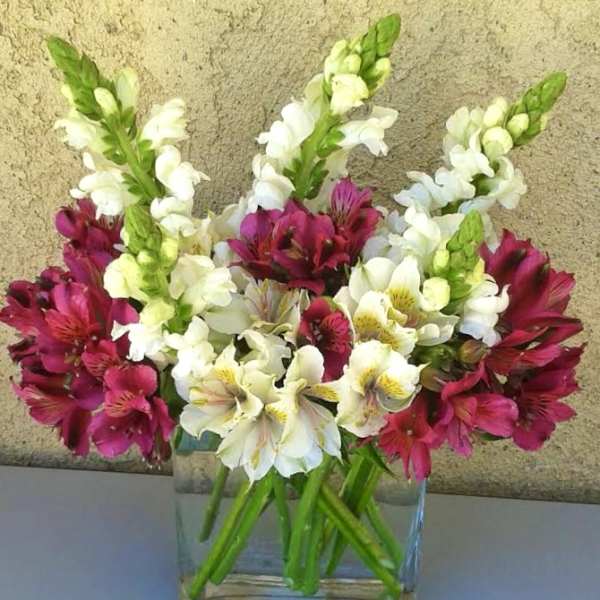 Bouquet of white and magenta flowers in a clear glass vase