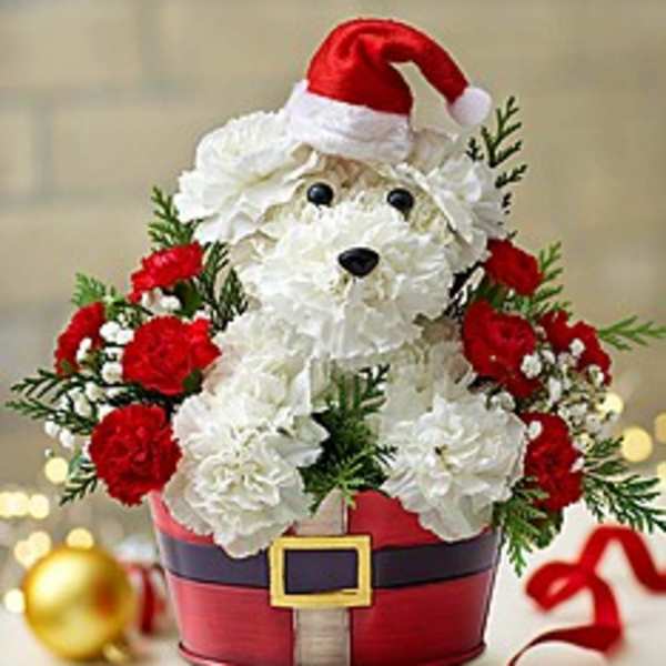 SANTA PAWS