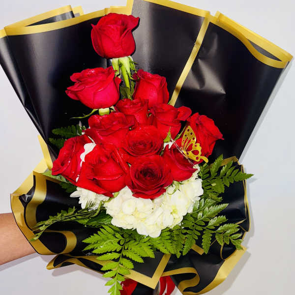 Encanto Carmin