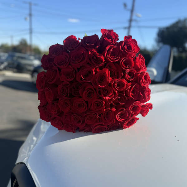 Large bouquet of red roses resting on a white car hood