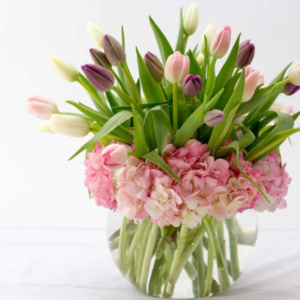 Pink and purple tulips arranged with pink hydrangeas in a clear glass vase