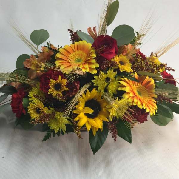 AUTUMNS VIBRANT BEAUTY