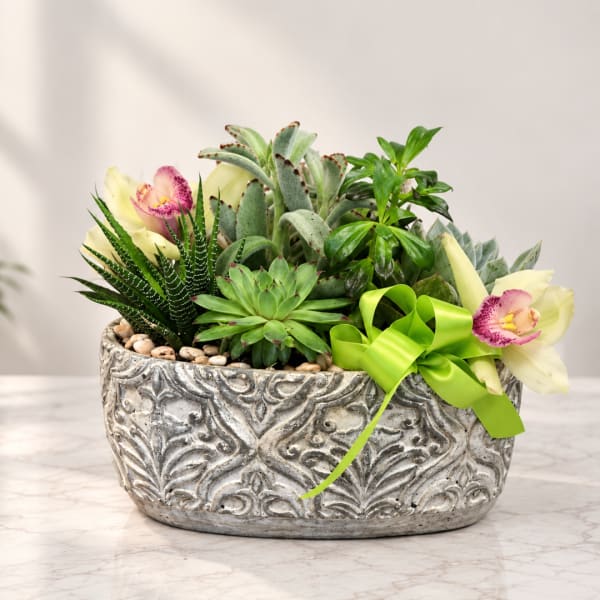 Succulent arrangement with pale orchids in a decorative planter and green ribbon
