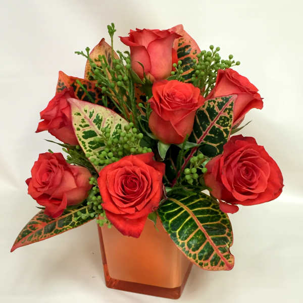 Red roses arranged in an orange square vase with variegated leaves