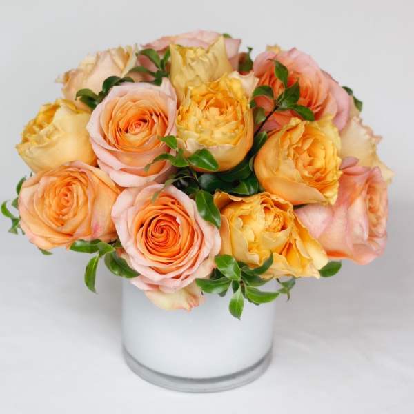 Fresh roses