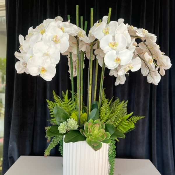 White orchid arrangement in a ribbed white vase with succulents and ferns