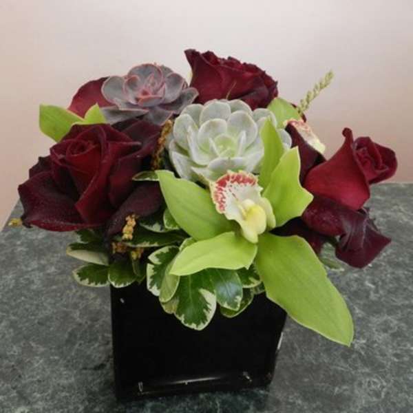 Black Baccara