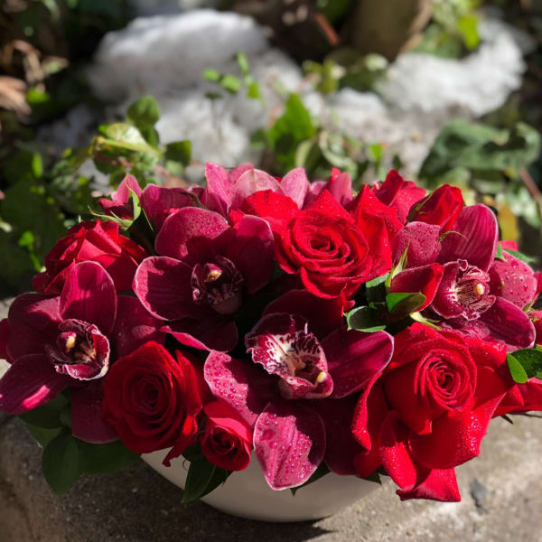 Red roses and burgundy orchids arranged in a white bowl