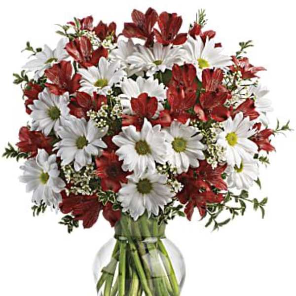 Dancing in Daisies