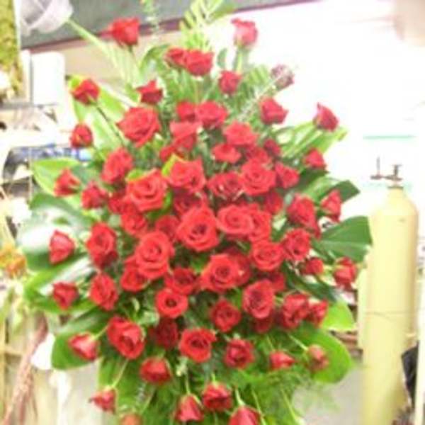 Sympathy Arrangements21/ 5-7 Days