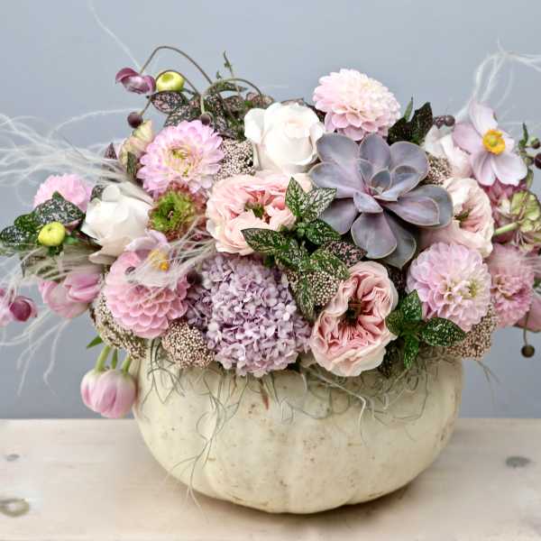 Low pastel arrangement of roses, dahlias, hydrangea and succulent in a white pumpkin container