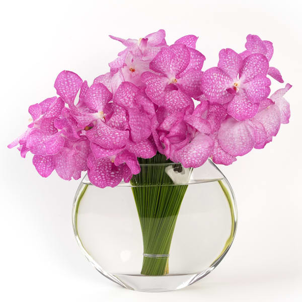 Pink orchids arranged in a round glass vase with water