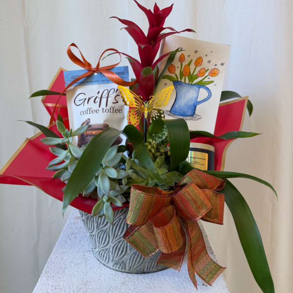 Succulent gift arrangement in a textured metal pot with cards and ribbon