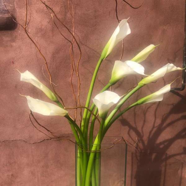 White calla lilies in a tall clear glass vase
