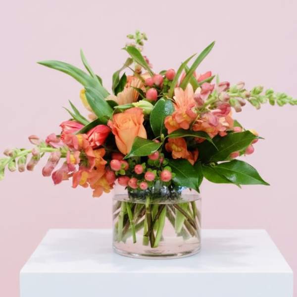 Coral Crush