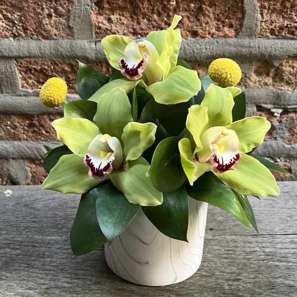 Green orchid arrangement in a white vase with yellow accents
