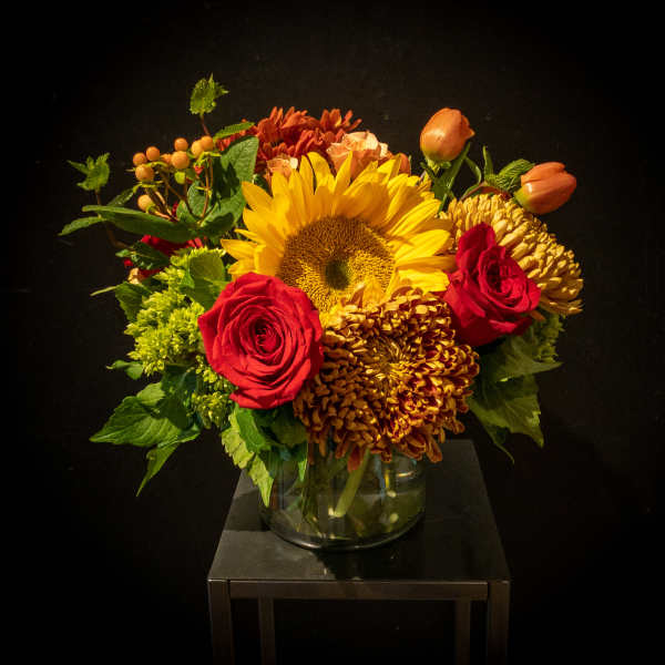 Autumn Splendor