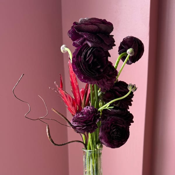 Dark purple ranunculus arrangement in a clear glass vase with red accent leaves