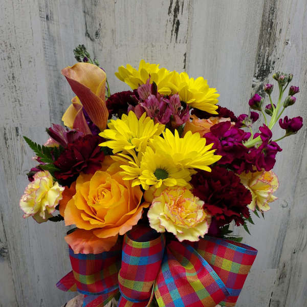 Burst of Color