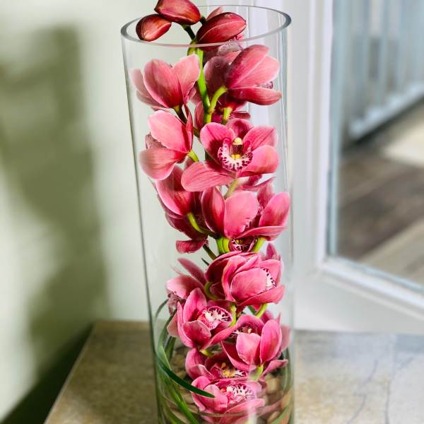 Pink orchid blooms arranged in a tall clear glass cylinder