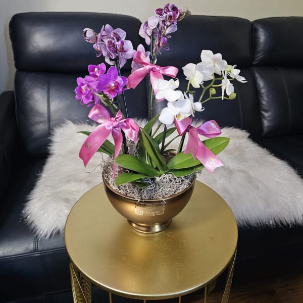 Potted orchids in pink, purple, and white in a gold bowl