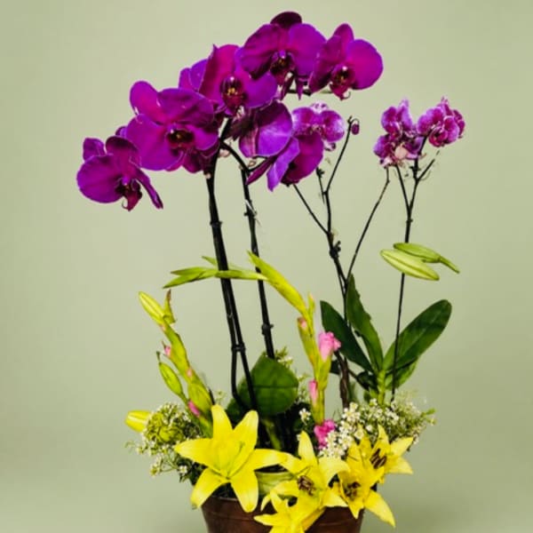 Purple orchids and yellow lilies arranged in a brown pot