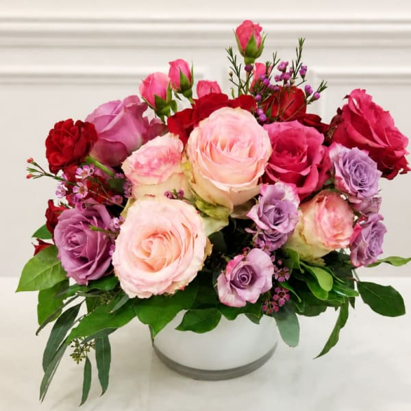 Mixed pink, lavender, and red roses arranged in a white vase