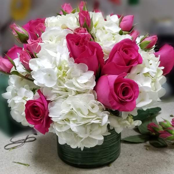 Pink Roses