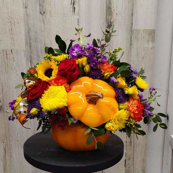 Pumpkin Pumpkin