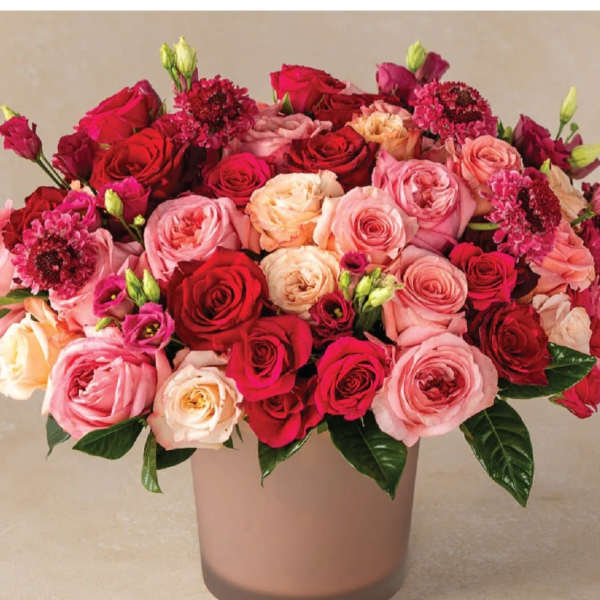 Roses in Bloom