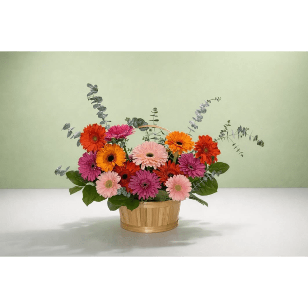 Basket of colorful gerbera daisies with eucalyptus accents