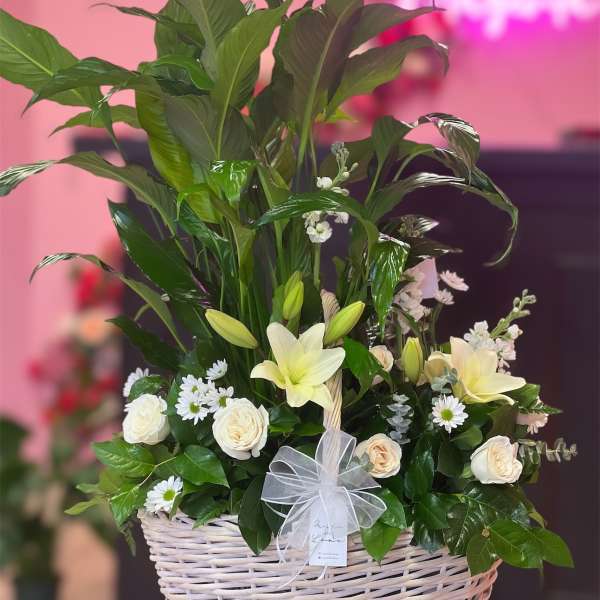 Sympathy Basket