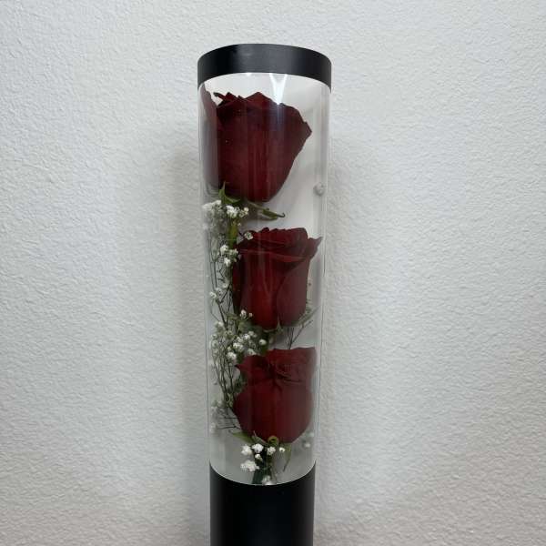 Three red roses in a tall clear cylinder with white filler flowers