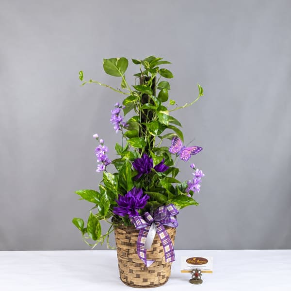 Purple floral arrangement in a woven basket with a plaid ribbon