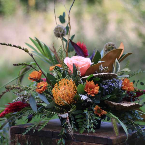 Foraging in the fall