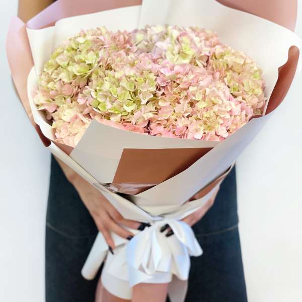 Pink Hydrangea half a dozen