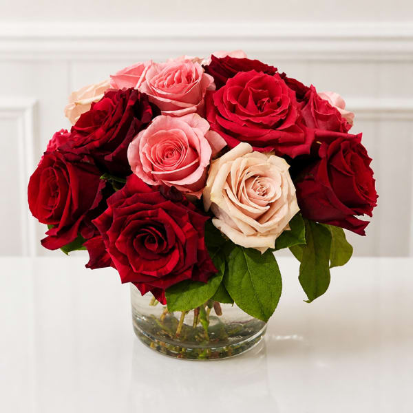 Bouquet of red, pink, and cream roses in a clear glass vase