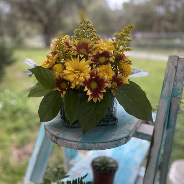 Compact arrangement of yellow and red chrysanthemums in a square wire container on a rustic blue stand