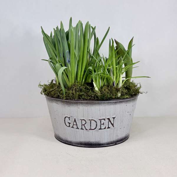 Seasonal Bulb Garden