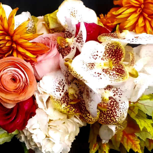 Fall Designer's Choice
