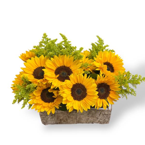 Sunflower arrangement in a rectangular rustic container