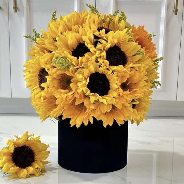 Sunflower Box