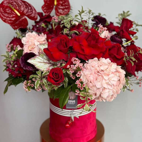 Blushing Romance - Red Velvet Valentine Collection