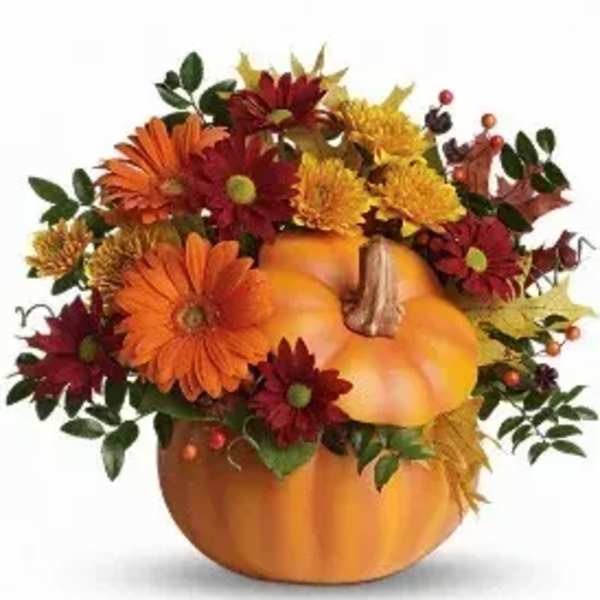 Country Pumpkin