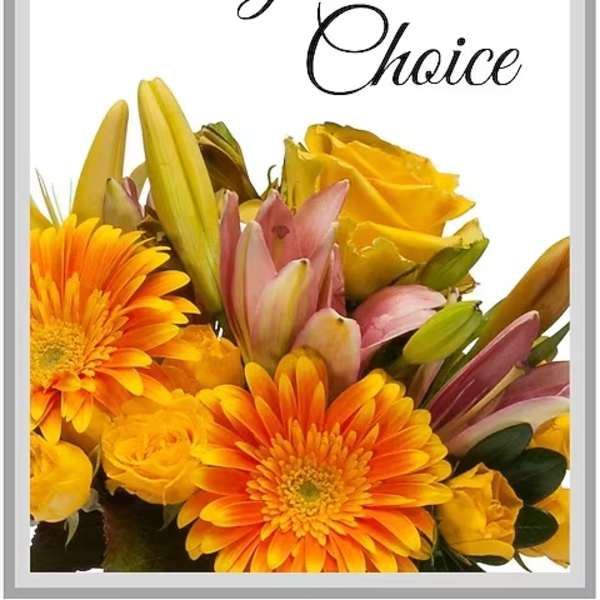 Designer's Choice