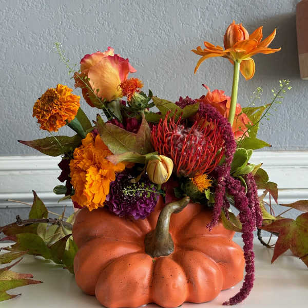 Blooming Pumpkin Patch