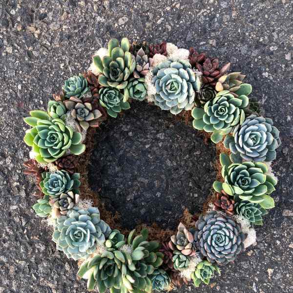 Succulent wreath arranged in a ring on pavement