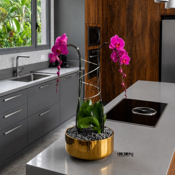 Pink orchid arrangement in a gold bowl on a kitchen island