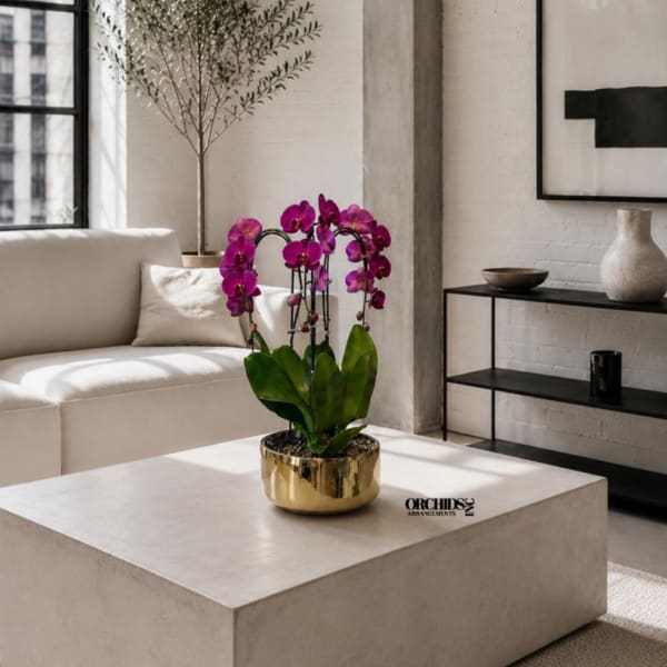 Purple orchid plant in a gold pot on a coffee table