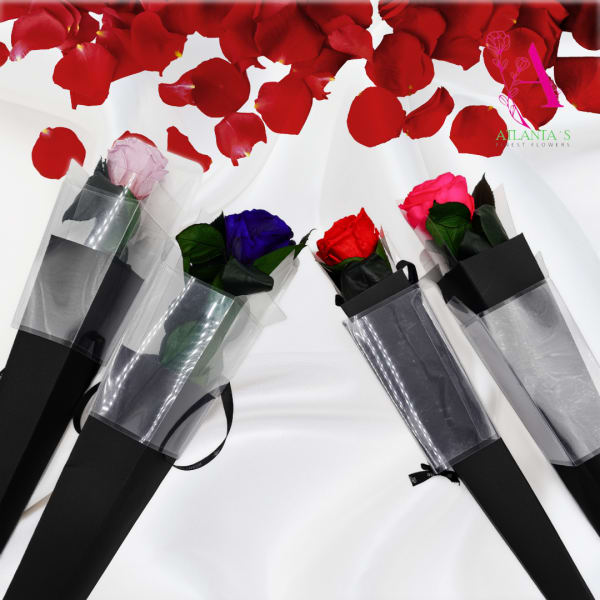 Four single roses wrapped in black sleeves with rose petals scattered above